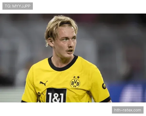 多特蒙德在转会窗口引入新星，竞争力显著提升