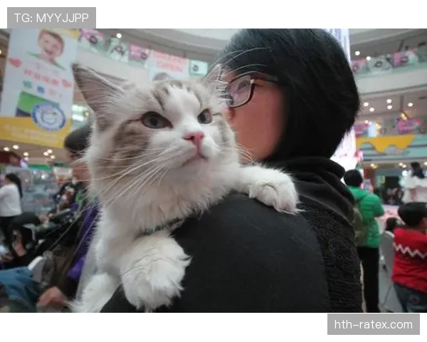 埃琳·安德森比赛后直接去宠物店，买了一堆不便宜的零食，感觉像明星逛街一样奢侈